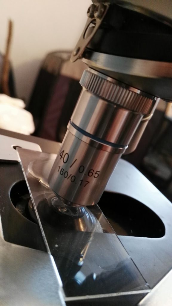 Mikroskop - 40er Objektiv